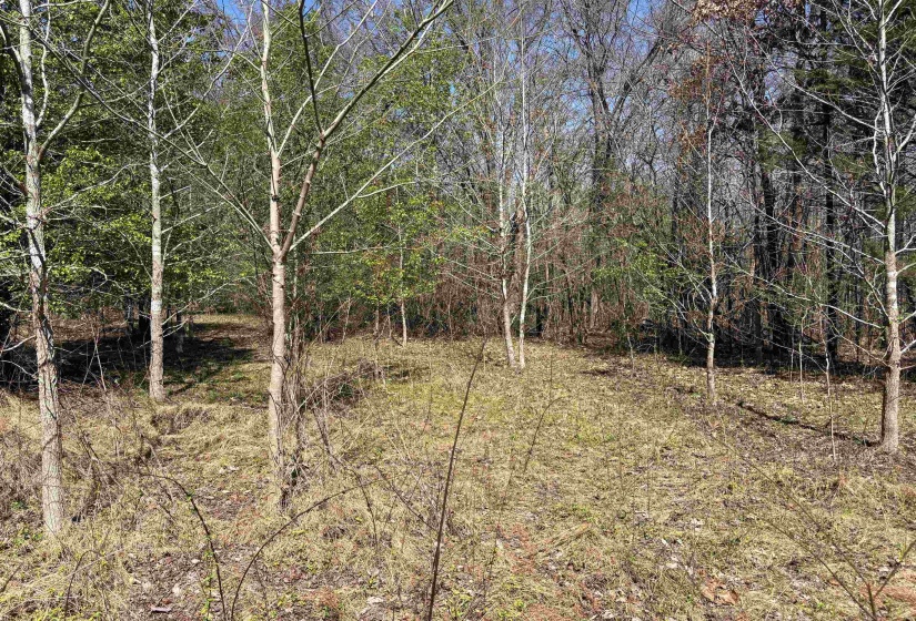 16055 HWY 76 HWY, Somerville, Tennessee 38068, 0 , 0 ,0,Land,For Sale,HWY 76,0,10218967