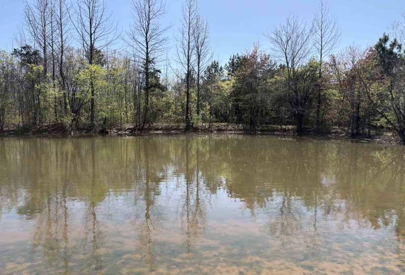 16055 HWY 76 HWY, Somerville, Tennessee 38068, 0 , 0 ,0,Land,For Sale,HWY 76,0,10218967