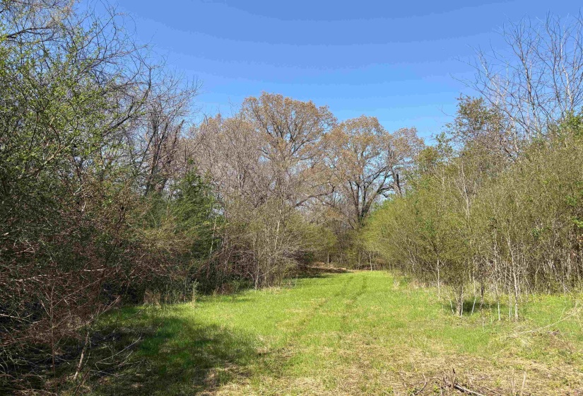 16055 HWY 76 HWY, Somerville, Tennessee 38068, 0 , 0 ,0,Land,For Sale,HWY 76,0,10218967