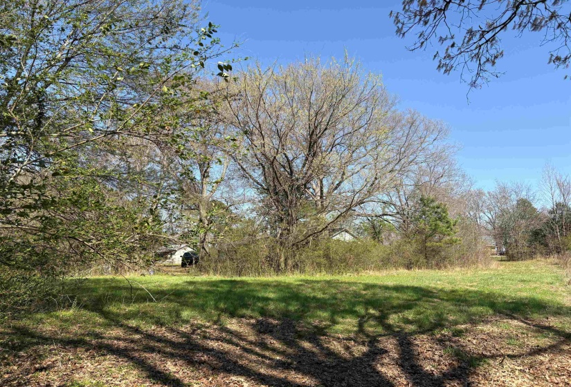 16055 HWY 76 HWY, Somerville, Tennessee 38068, 0 , 0 ,0,Land,For Sale,HWY 76,0,10218967