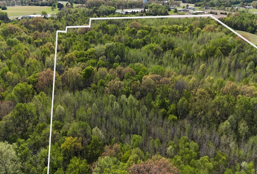 16055 HWY 76 HWY, Somerville, Tennessee 38068, 0 , 0 ,0,Land,For Sale,HWY 76,0,10218967