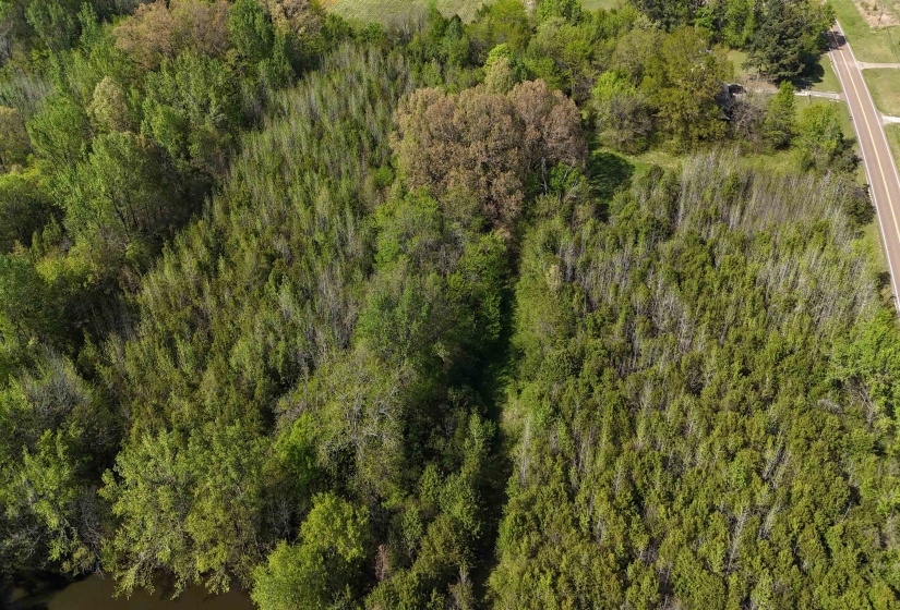 16055 HWY 76 HWY, Somerville, Tennessee 38068, 0 , 0 ,0,Land,For Sale,HWY 76,0,10218967