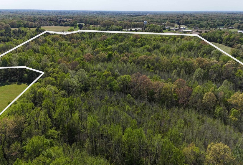 16055 HWY 76 HWY, Somerville, Tennessee 38068, 0 , 0 ,0,Land,For Sale,HWY 76,0,10218967