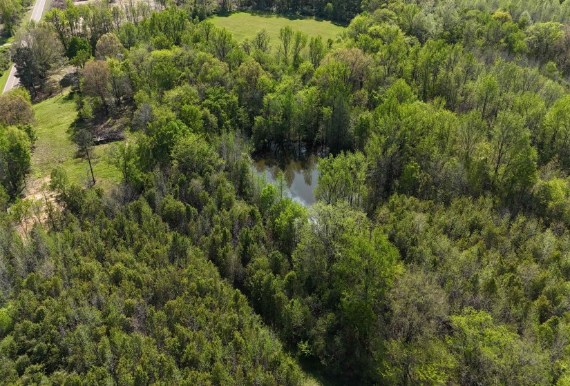 16055 HWY 76 HWY, Somerville, Tennessee 38068, 0 , 0 ,0,Land,For Sale,HWY 76,0,10218967