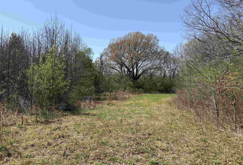 16055 HWY 76 HWY, Somerville, Tennessee 38068, 0 , 0 ,0,Land,For Sale,HWY 76,0,10218967