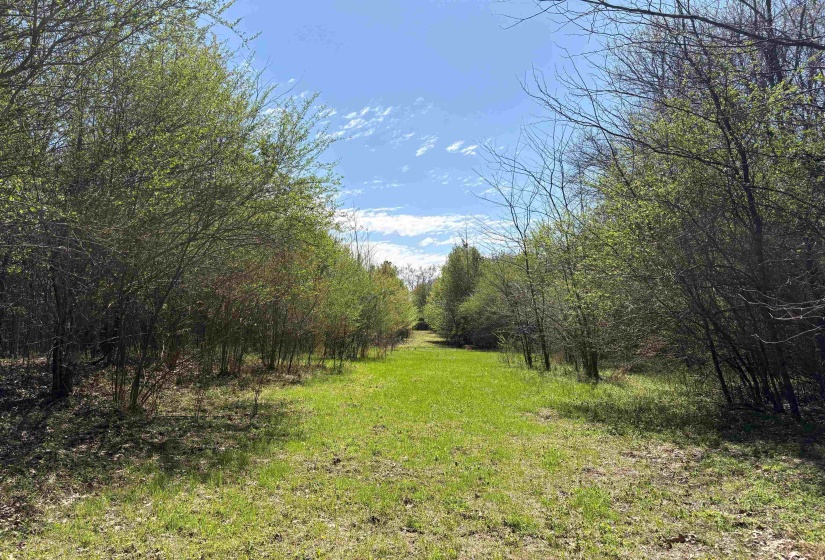 16055 HWY 76 HWY, Somerville, Tennessee 38068, 0 , 0 ,0,Land,For Sale,HWY 76,0,10218967