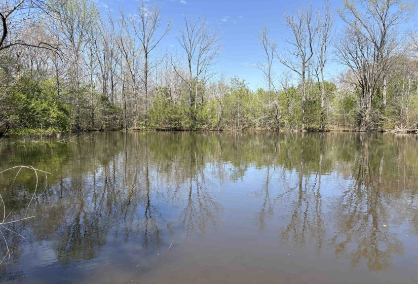 16055 HWY 76 HWY, Somerville, Tennessee 38068, 0 , 0 ,0,Land,For Sale,HWY 76,0,10218967