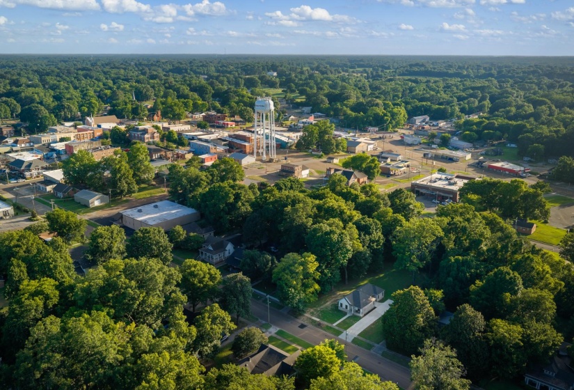Expansive aerial view showcasing a town with a central water tower, surrounded by abundant mature tree coverage