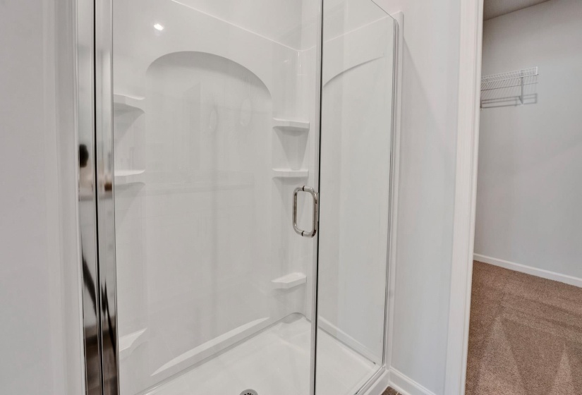 Bathroom with a walk in closet, a shower stall, and light colored carpet