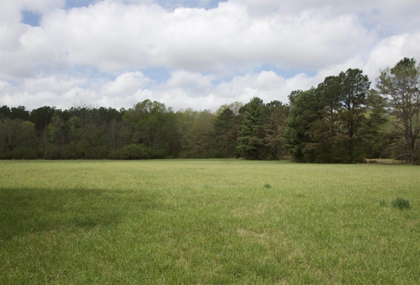 14360 LA GRANGE RD, La Grange, Tennessee 38046, ,Land,For Sale,LA GRANGE,10219053