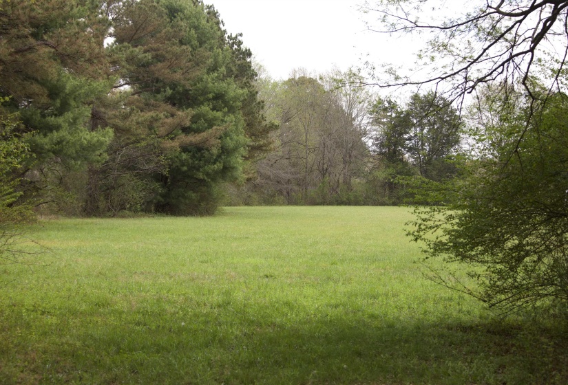 14360 LA GRANGE RD, La Grange, Tennessee 38046, ,Land,For Sale,LA GRANGE,10219053