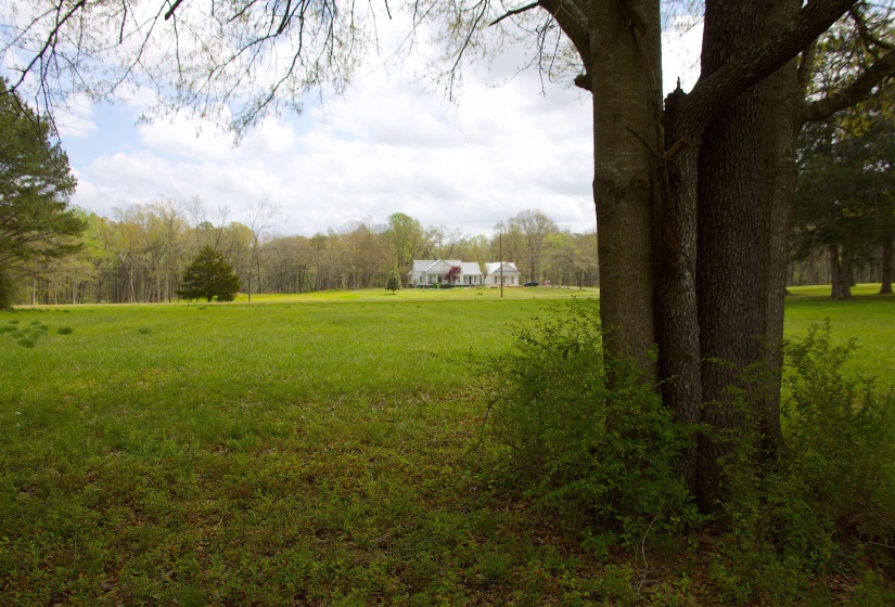 14360 LA GRANGE RD, La Grange, Tennessee 38046, ,Land,For Sale,LA GRANGE,10219053