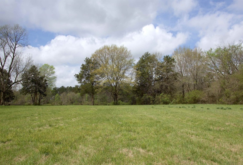 14360 LA GRANGE RD, La Grange, Tennessee 38046, ,Land,For Sale,LA GRANGE,10219053