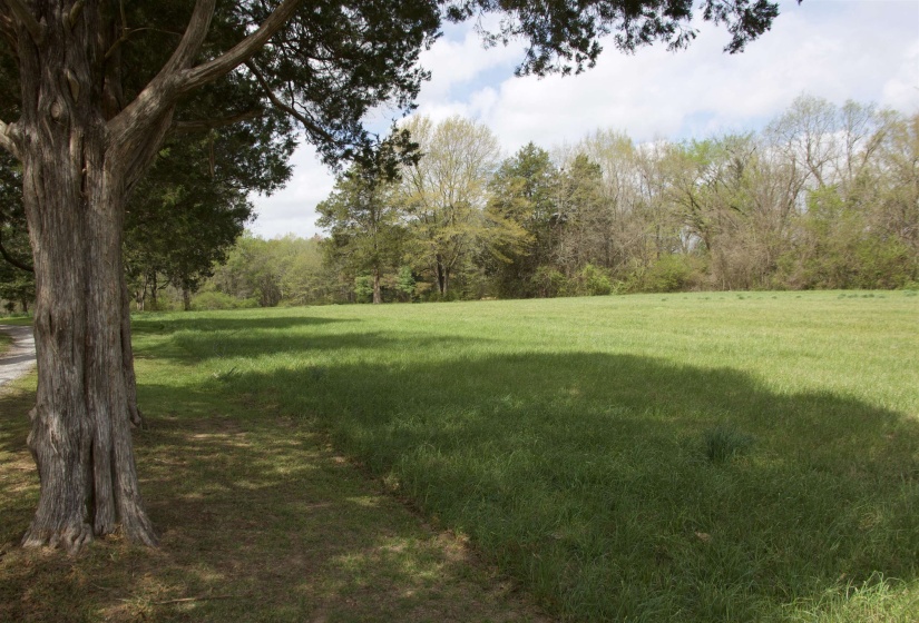 14360 LA GRANGE RD, La Grange, Tennessee 38046, ,Land,For Sale,LA GRANGE,10219053