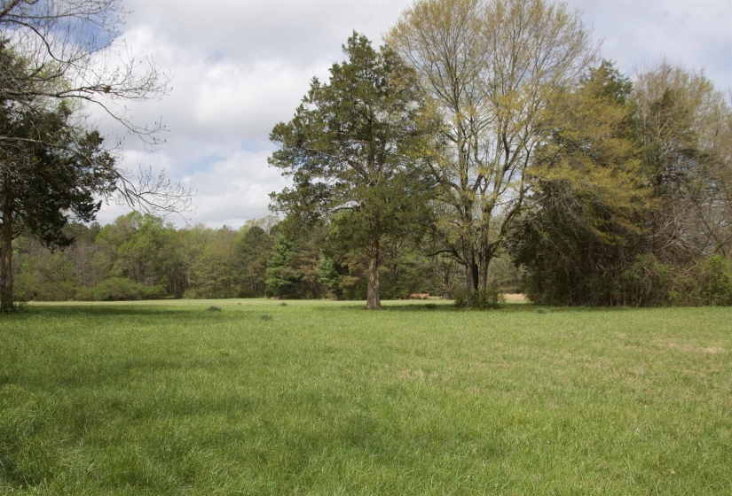 14360 LA GRANGE RD, La Grange, Tennessee 38046, ,Land,For Sale,LA GRANGE,10219053