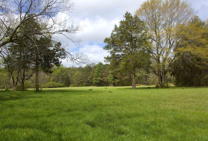 14360 LA GRANGE RD, La Grange, Tennessee 38046, ,Land,For Sale,LA GRANGE,10219053