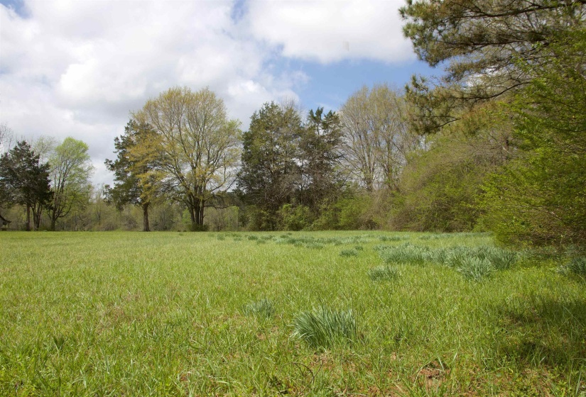 14360 LA GRANGE RD, La Grange, Tennessee 38046, ,Land,For Sale,LA GRANGE,10219053