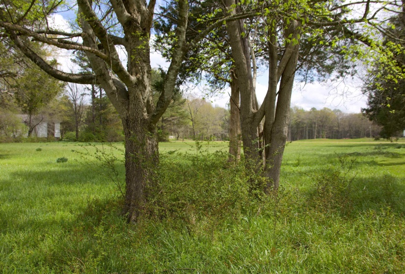 14360 LA GRANGE RD, La Grange, Tennessee 38046, ,Land,For Sale,LA GRANGE,10219053
