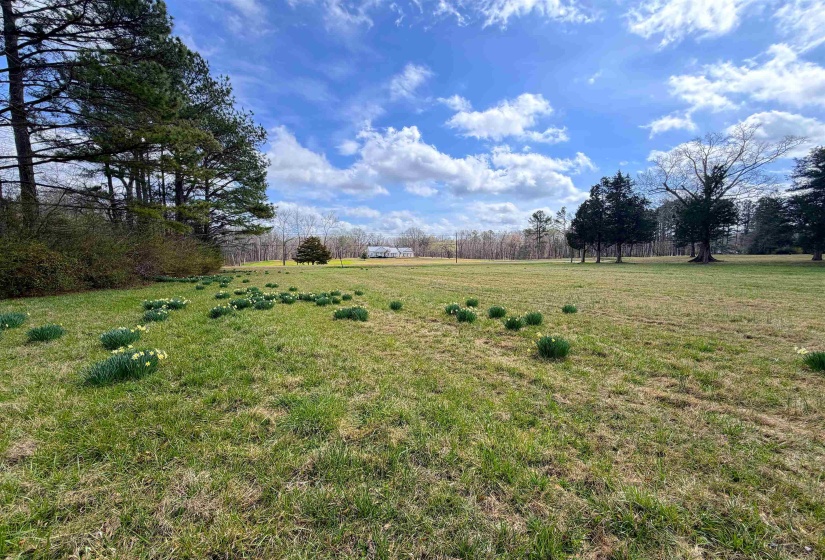 14360 LA GRANGE RD, La Grange, Tennessee 38046, ,Land,For Sale,LA GRANGE,10219053