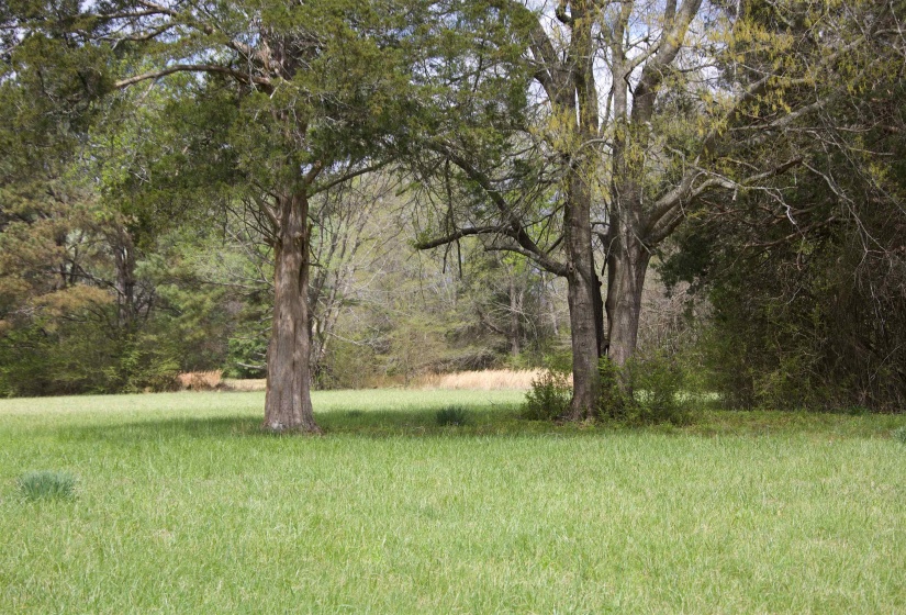 14360 LA GRANGE RD, La Grange, Tennessee 38046, ,Land,For Sale,LA GRANGE,10219053