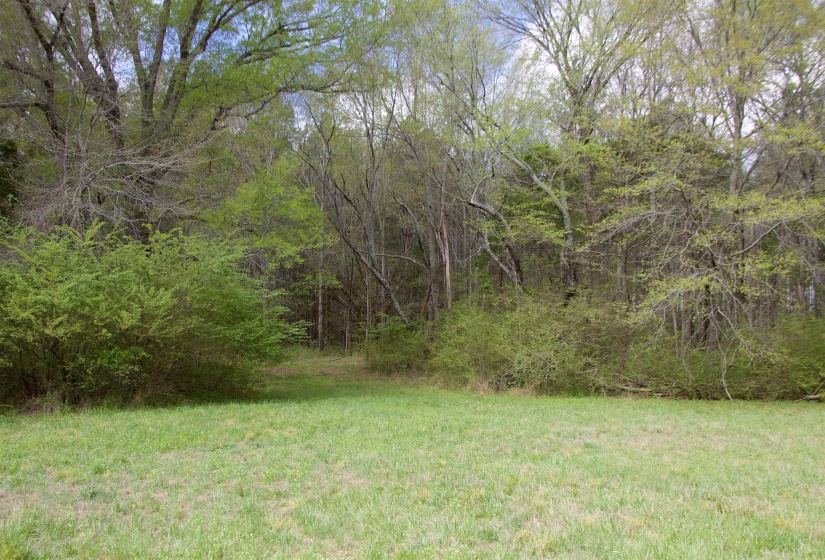 14360 LA GRANGE RD, La Grange, Tennessee 38046, ,Land,For Sale,LA GRANGE,10219053
