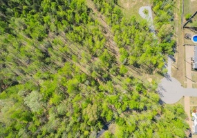 12820 MAGS LN, Collierville, Tennessee 38017-2761, ,Land,For Sale,MAGS,10219054