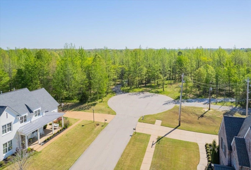12820 MAGS LN, Collierville, Tennessee 38017-2761, ,Land,For Sale,MAGS,10219054