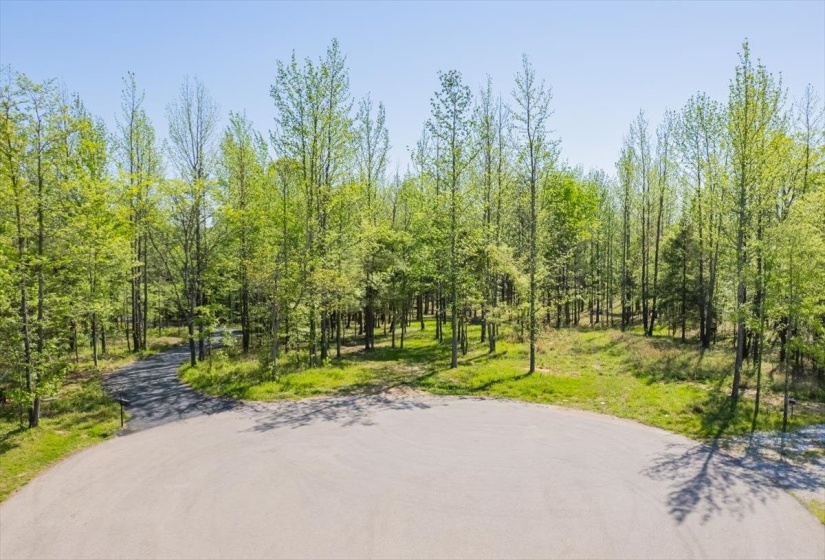 12820 MAGS LN, Collierville, Tennessee 38017-2761, ,Land,For Sale,MAGS,10219054