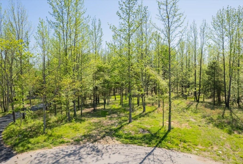12820 MAGS LN, Collierville, Tennessee 38017-2761, ,Land,For Sale,MAGS,10219054