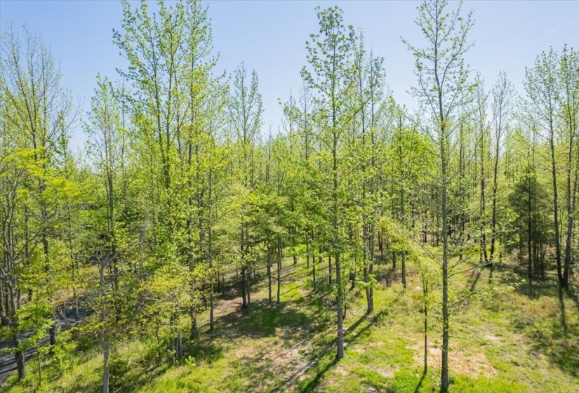 12820 MAGS LN, Collierville, Tennessee 38017-2761, ,Land,For Sale,MAGS,10219054