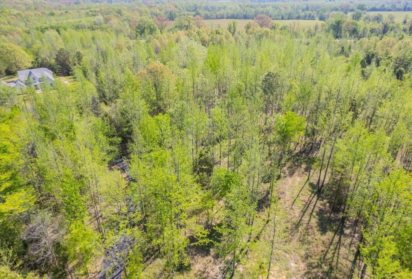 12820 MAGS LN, Collierville, Tennessee 38017-2761, ,Land,For Sale,MAGS,10219054