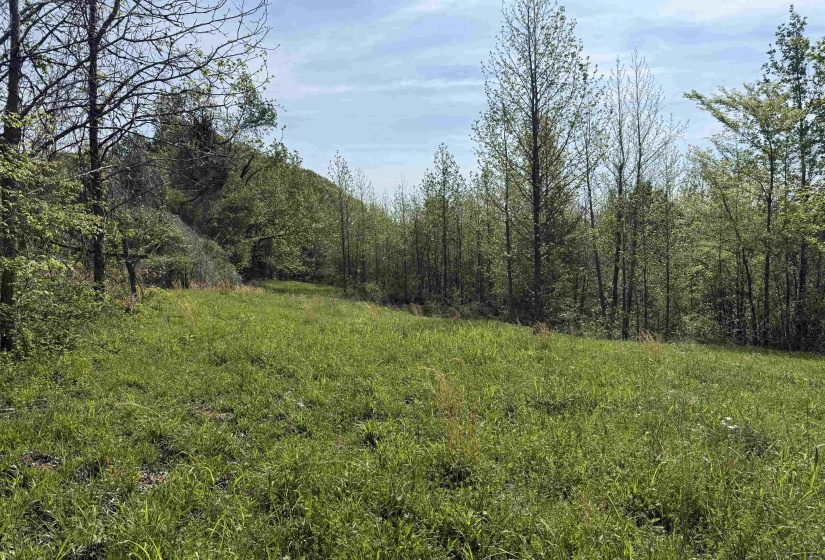 00 NEEDHAM RD, Unincorporated, Tennessee 38023, ,Land,For Sale,NEEDHAM,10219062