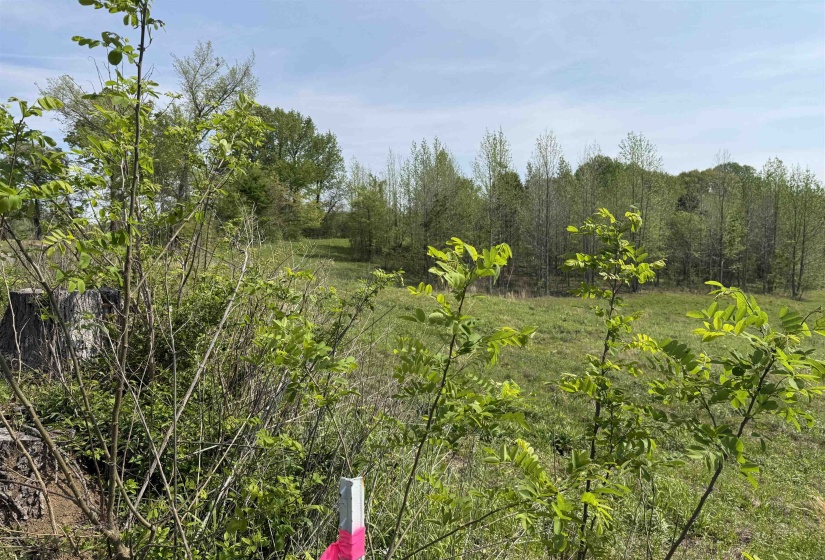 00 NEEDHAM RD, Unincorporated, Tennessee 38023, ,Land,For Sale,NEEDHAM,10219062