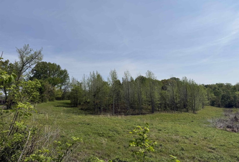 00 NEEDHAM RD, Unincorporated, Tennessee 38023, ,Land,For Sale,NEEDHAM,10219062