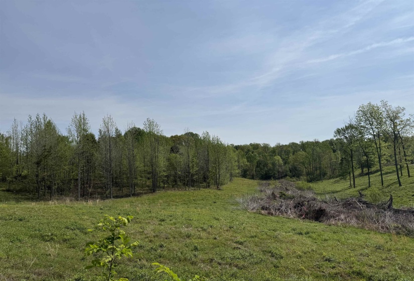 00 NEEDHAM RD, Unincorporated, Tennessee 38023, ,Land,For Sale,NEEDHAM,10219062