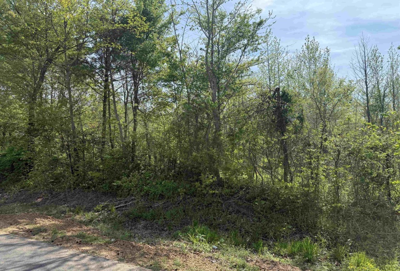 00 NEEDHAM RD, Unincorporated, Tennessee 38023, ,Land,For Sale,NEEDHAM,10219062