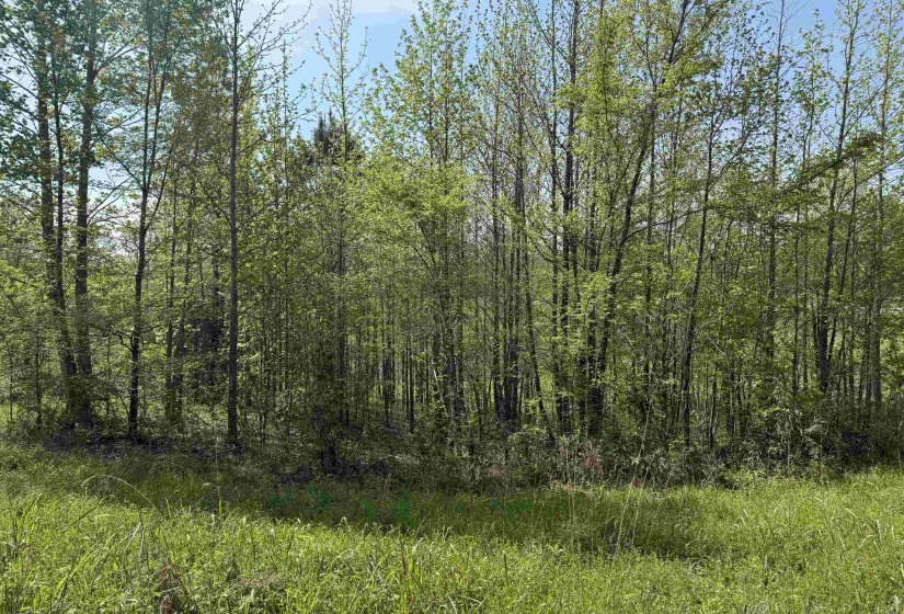 00 NEEDHAM RD, Unincorporated, Tennessee 38023, ,Land,For Sale,NEEDHAM,10219062