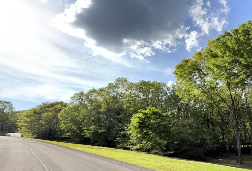 70 GROVE PARK LN, Piperton, Tennessee 38017, ,Land,For Sale,GROVE PARK,10219068