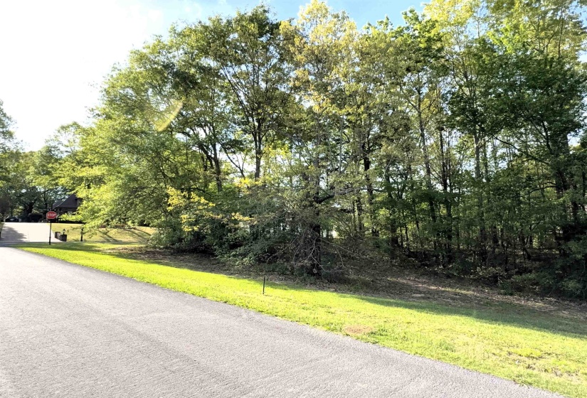 70 GROVE PARK LN, Piperton, Tennessee 38017, ,Land,For Sale,GROVE PARK,10219068