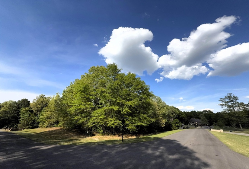 70 GROVE PARK LN, Piperton, Tennessee 38017, ,Land,For Sale,GROVE PARK,10219068