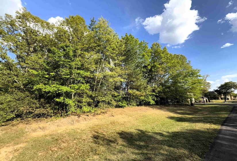 70 GROVE PARK LN, Piperton, Tennessee 38017, ,Land,For Sale,GROVE PARK,10219068