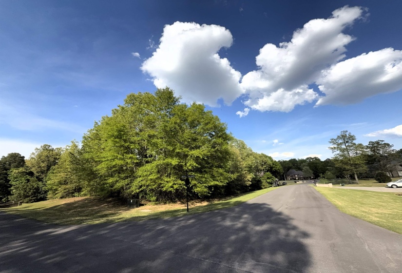 70 GROVE PARK LN, Piperton, Tennessee 38017, ,Land,For Sale,GROVE PARK,10219068