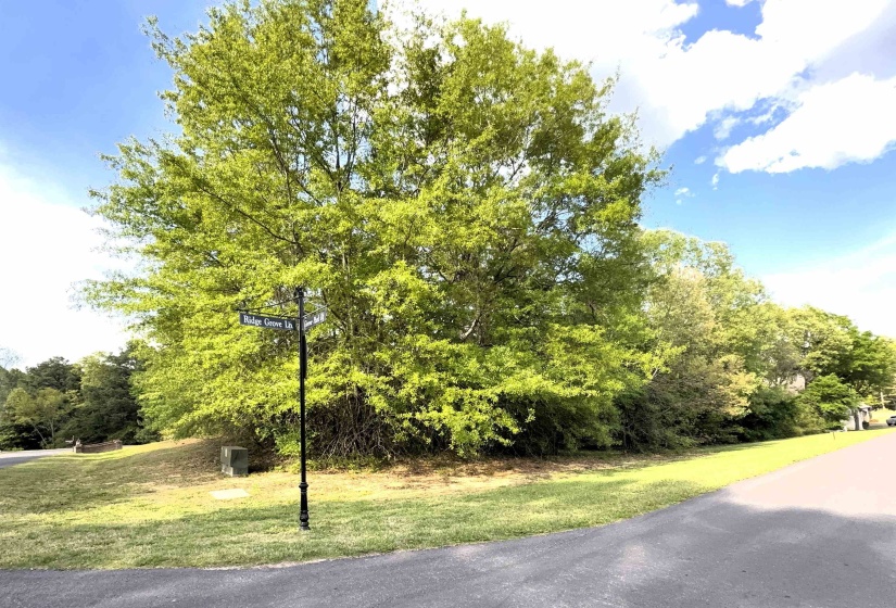 70 GROVE PARK LN, Piperton, Tennessee 38017, ,Land,For Sale,GROVE PARK,10219068