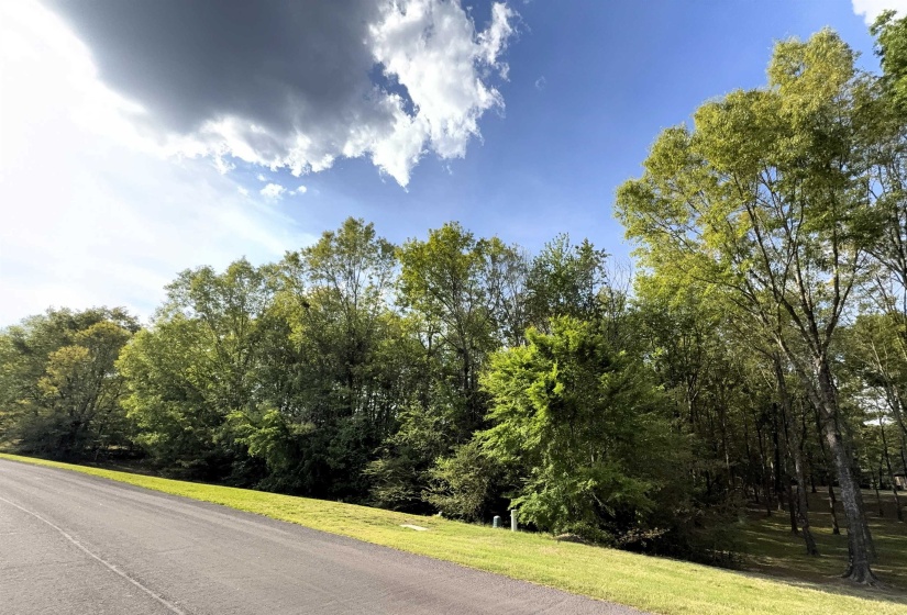 70 GROVE PARK LN, Piperton, Tennessee 38017, ,Land,For Sale,GROVE PARK,10219068