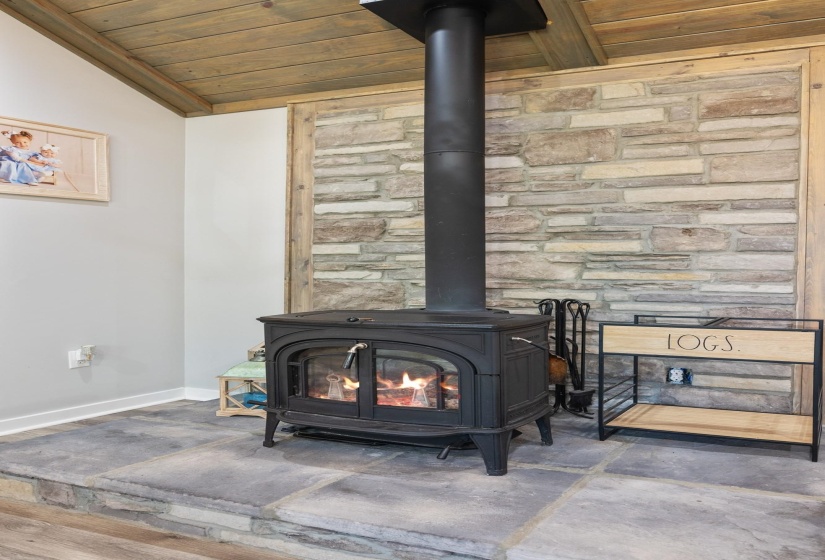 Detailed view of wood ceiling and a wood stove