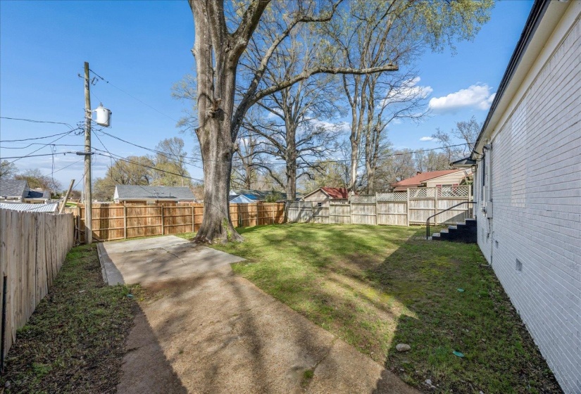 View of fenced backyard