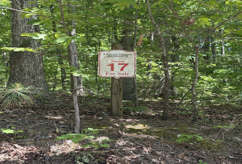 0 MASTERS PL, Springville, Tennessee 38256, ,Land,For Sale,MASTERS,10219102