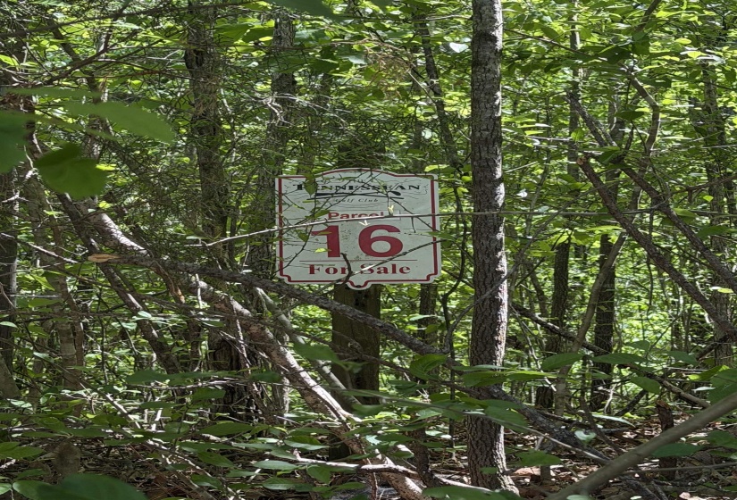 0 LEGENDS DR, Springville, Tennessee 38256, ,Land,For Sale,LEGENDS,10219103