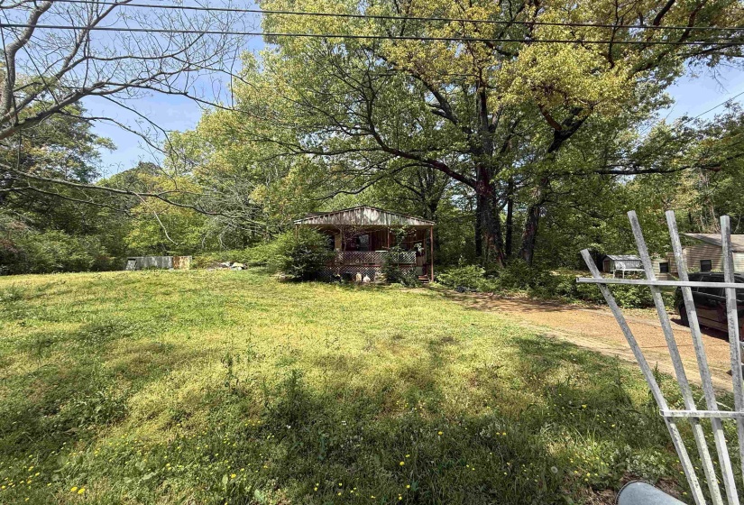 View of grassy yard with view of scattered trees