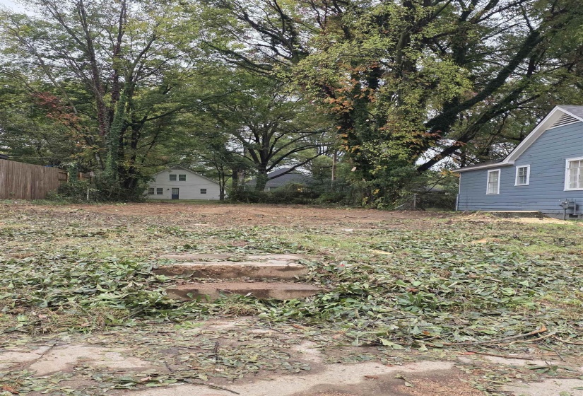 View of yard with view of scattered trees